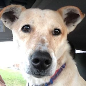 Meet your Posher, Ben